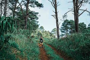 BIB: 
                            <button type="button" onclick="openModal(25653299)" class="btn btn-primary btn-sm float-right btn-popup" data-toggle="modal" data-target=".modal-high-quality">
                        <i class="fas fa-shopping-cart"></i> Add to Cart
                    </button>
                                            <button type="button" onclick="isThisMe(25653299, true)" class="btn btn-success btn-sm float-right btn-popup btn-isme hidden" data-toggle="tooltip" data-placement="bottom" title="นี่คือรูปของคุณใช่ไหม คลิกที่นี่เพื่อเอาเข้าอัลบั้ม">
                        <i class="fas fa-plus"></i> Add to album
                    </button>
                    <button type="button" onclick="isThisMe(25653299, false)" class="btn btn-warning btn-sm float-right btn-popup btn-isnotme hidden">
                        <i class="fas fa-ban"></i> Remove from album
                    </button>